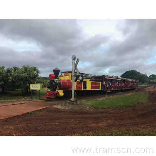 Ancient Steam Electric Rides Train For Tourism Experience